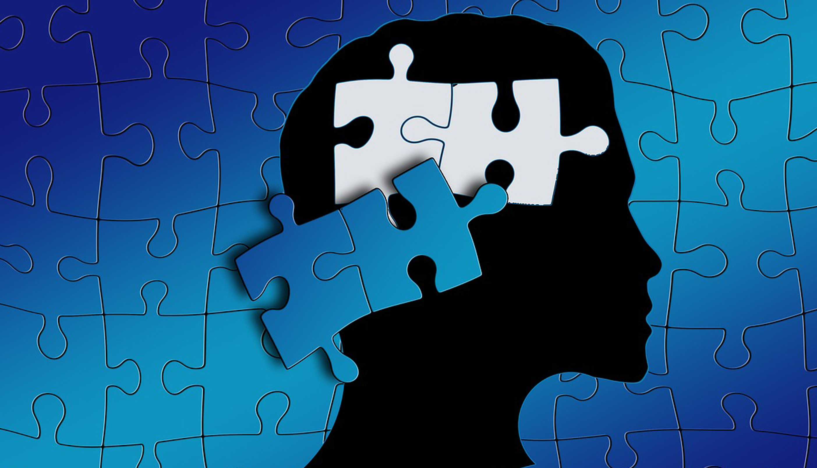 Gelişim Dönemleri Testleri